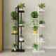 Plant Shelf Model: TWDS-0212